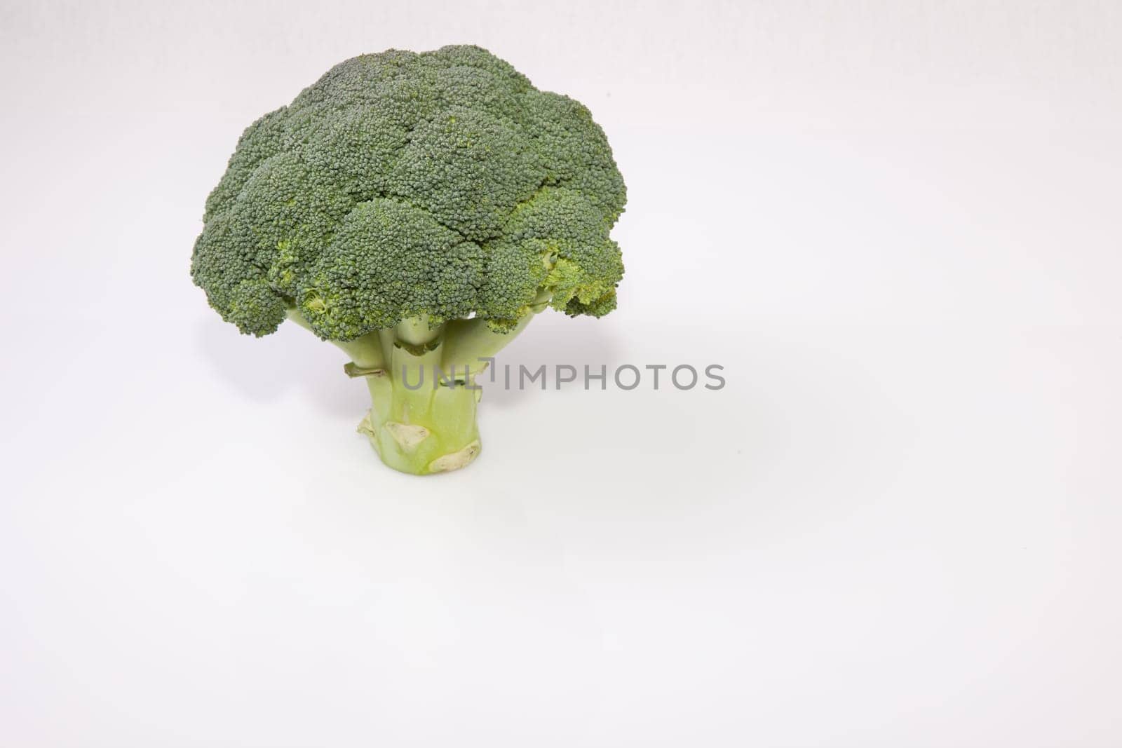 Whole broccoli plant set as a tree. Isolated on white background