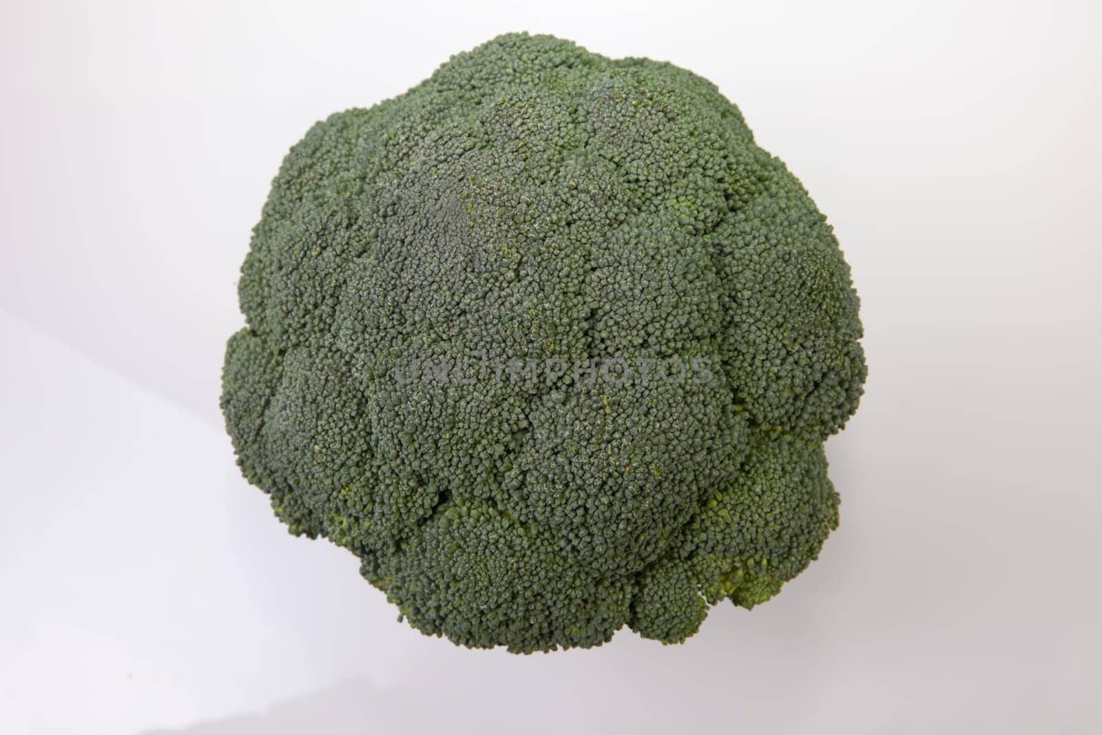 Broccoli plant closeup. Isolated on white background