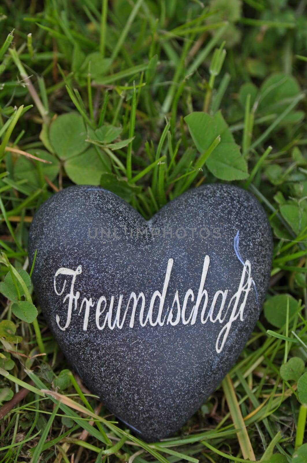Friendship