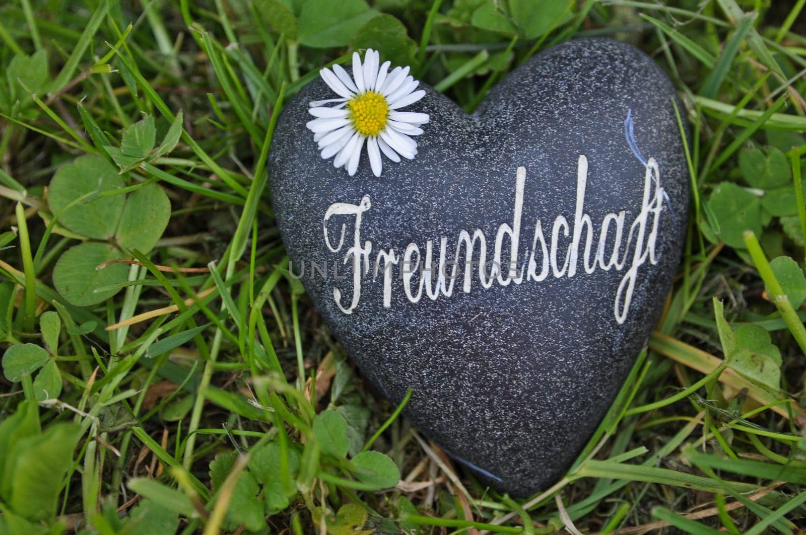 Friendship