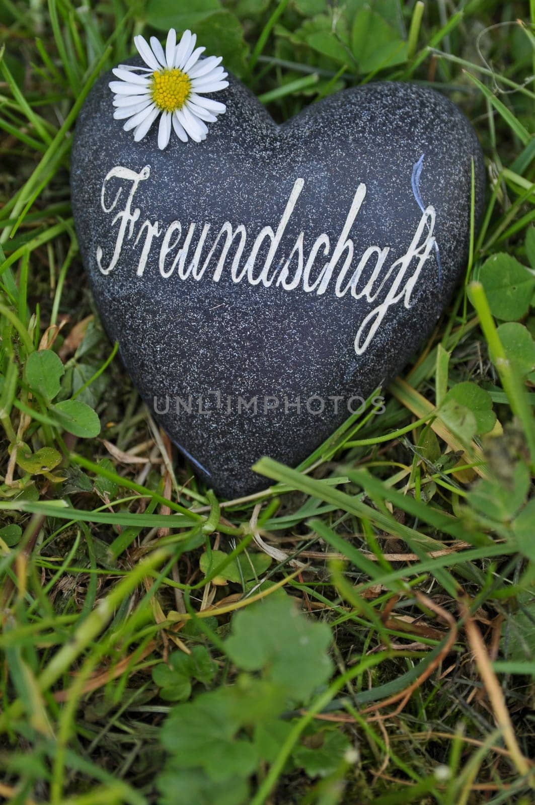 Friendship