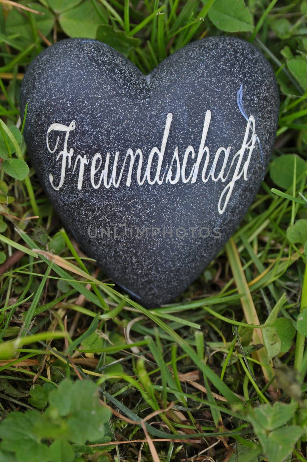 Friendship