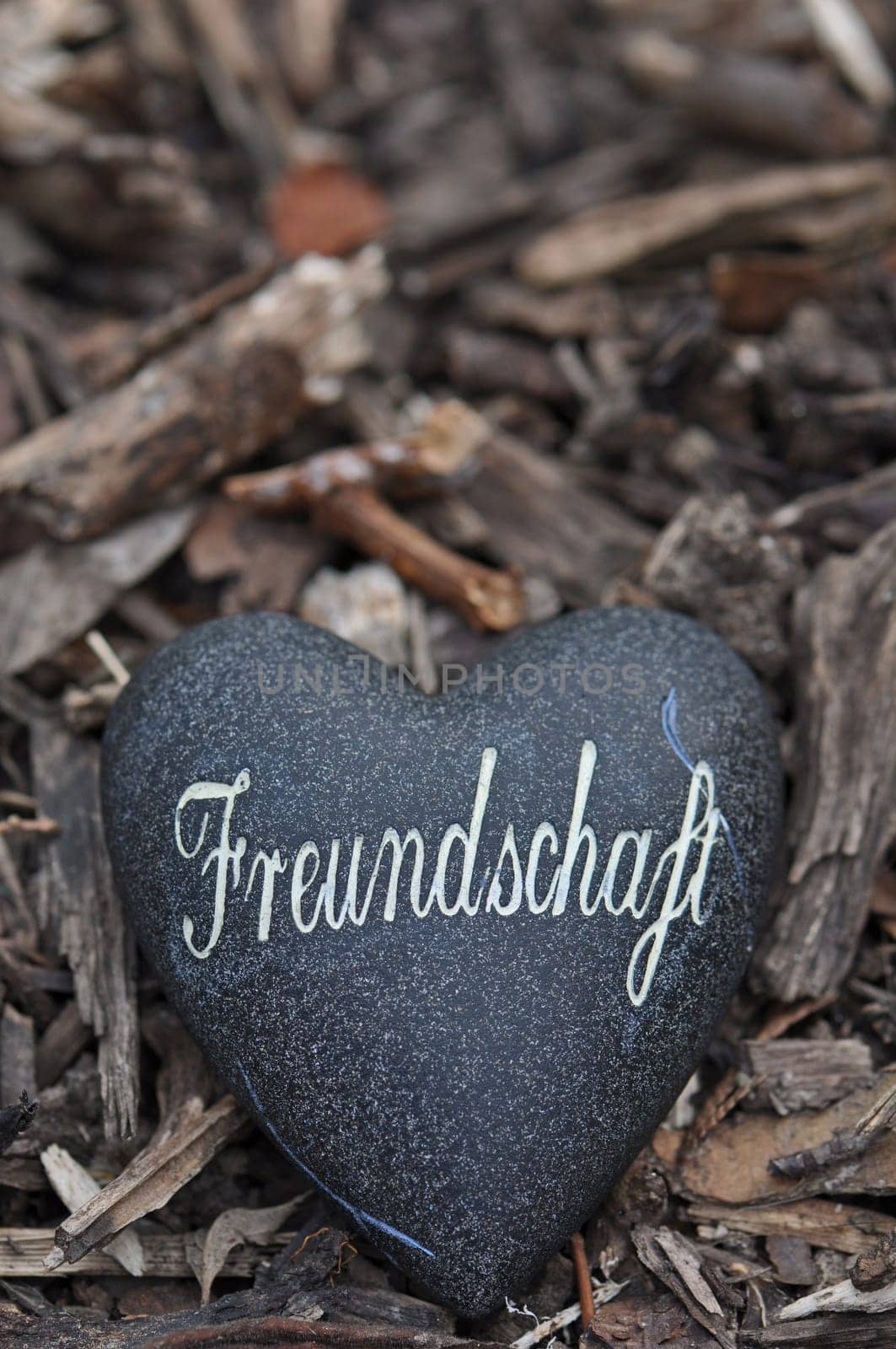 Friendship