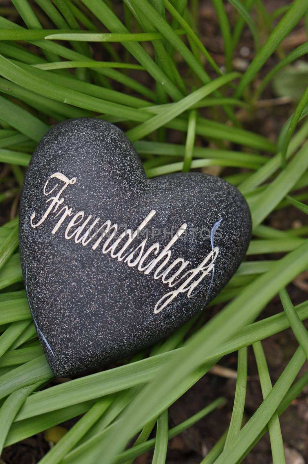 Friendship