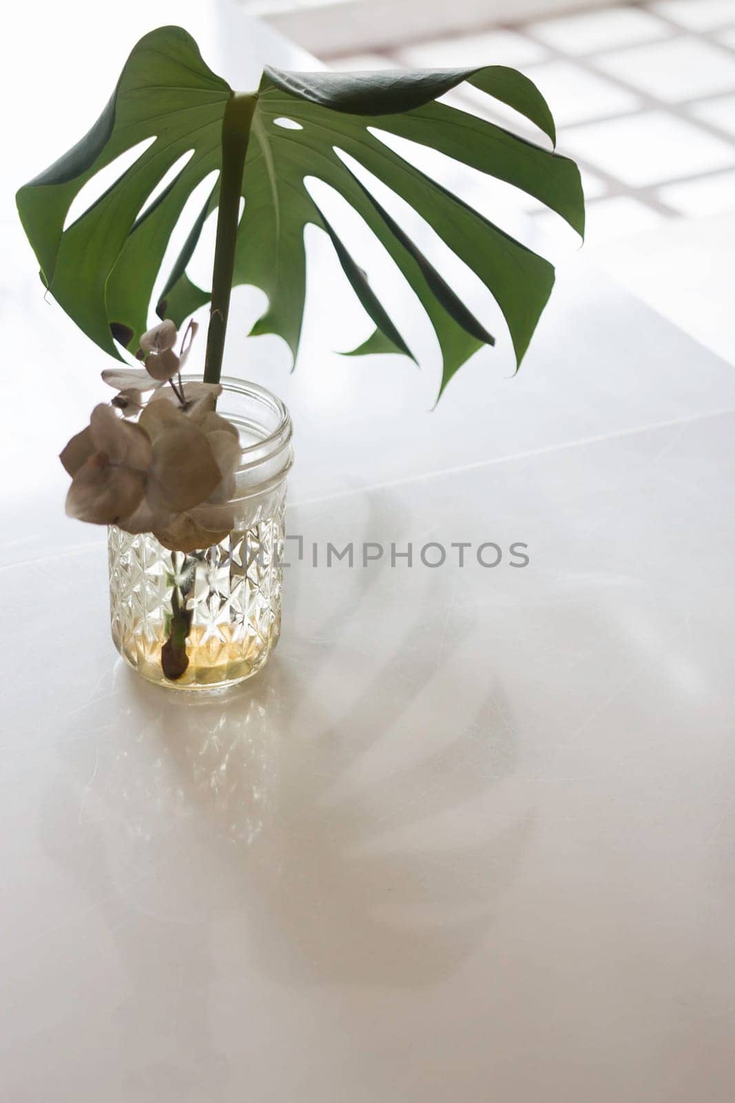 Green plant leave in vase cozy interior concept, stock photo