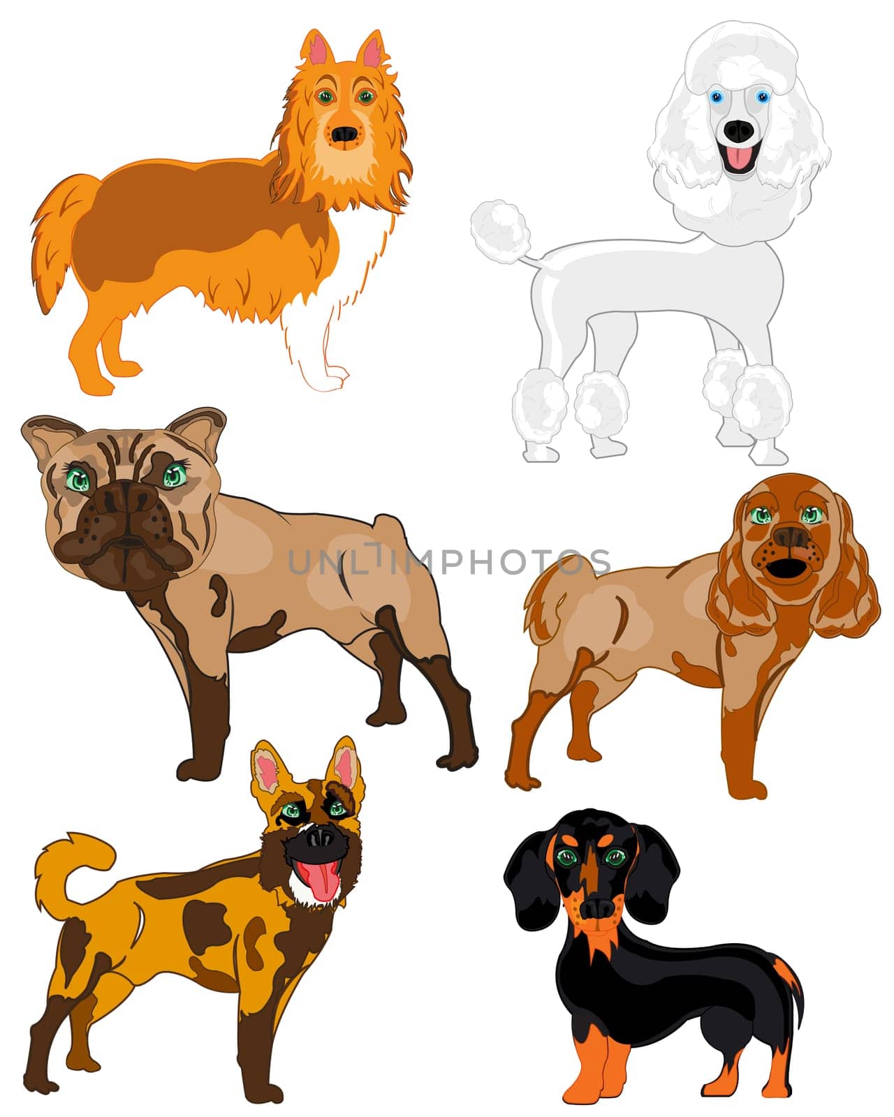Dogs of the varied sorts on white background is insulated