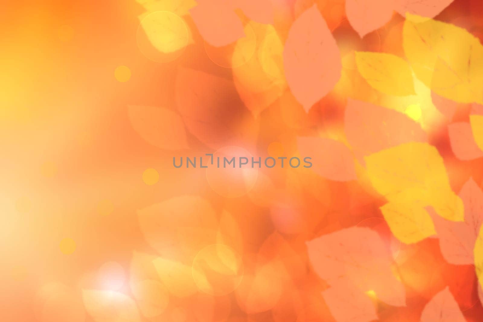 Abstract autumn gradient gold yellow pink bright background texture with leaves and bokeh circles. Indian summer. Card design with space. Beautiful backdrop.