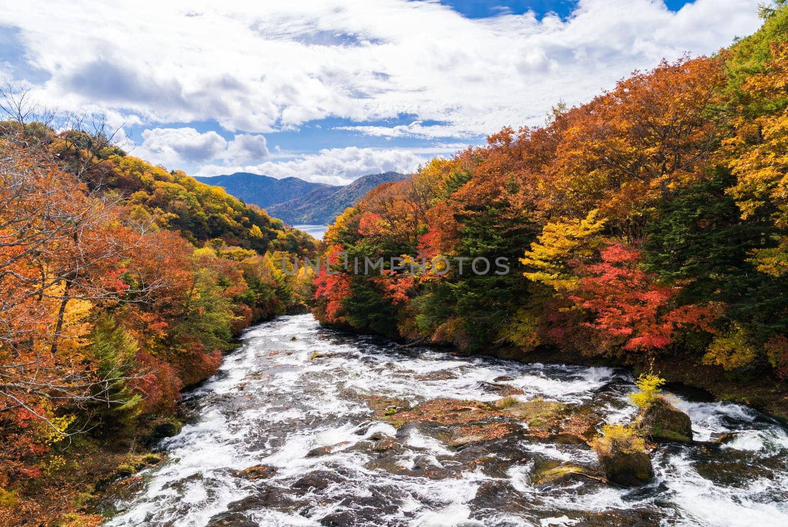 Autumn fall forest with stream water to Ryuzu Falls with lake Chezenji in background, Nikko Tochigi Japan