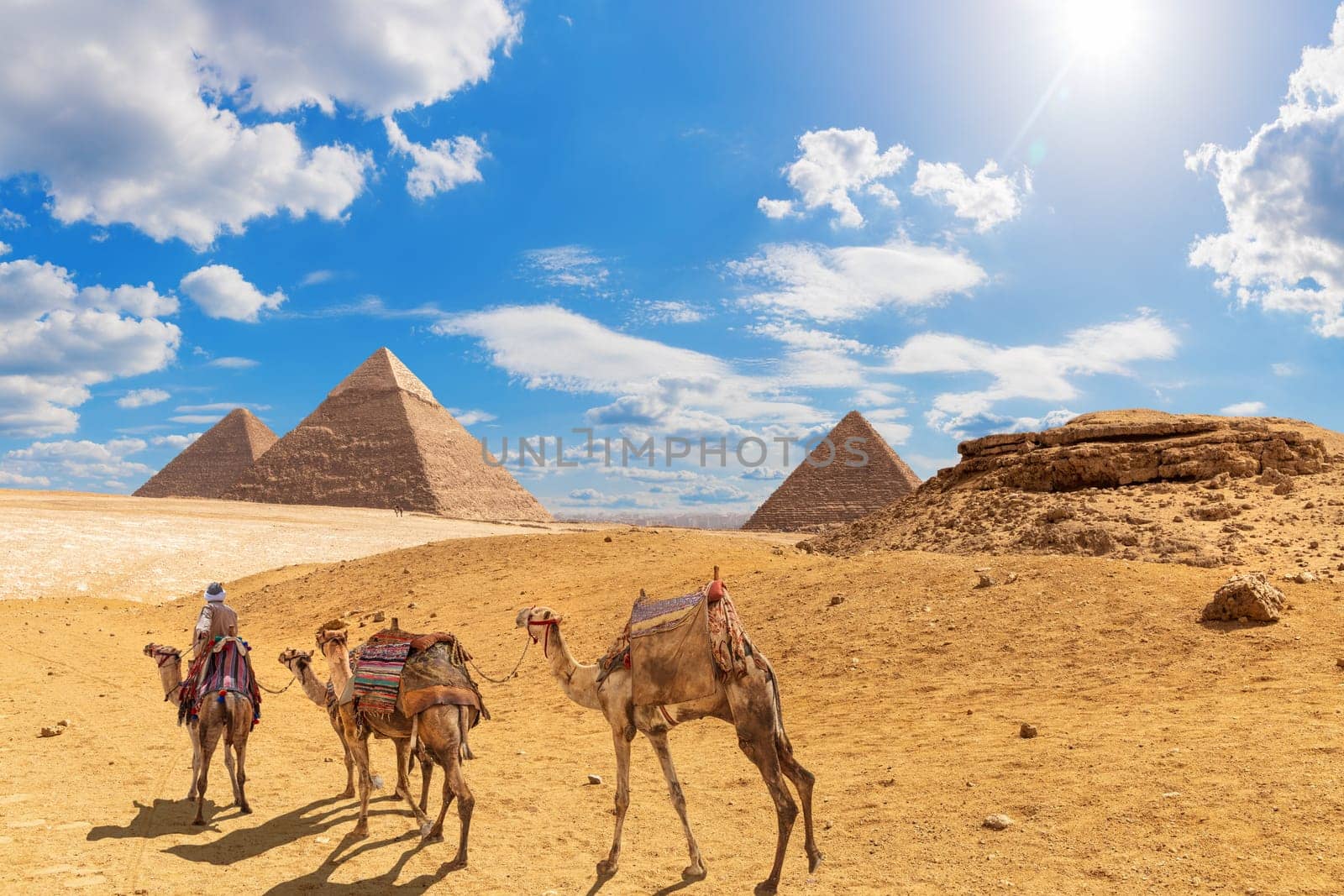 The Pyramids and camels with a bedouin in Giza desert, Egypt.