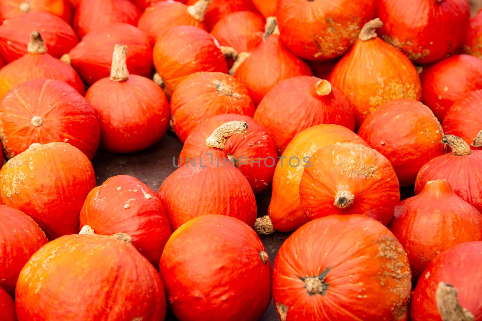 Harvest from Pumkins in detail on a farmer market