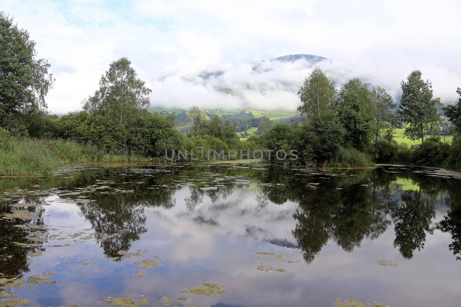 Near-natural waters near Hollersbach im Pinzgau