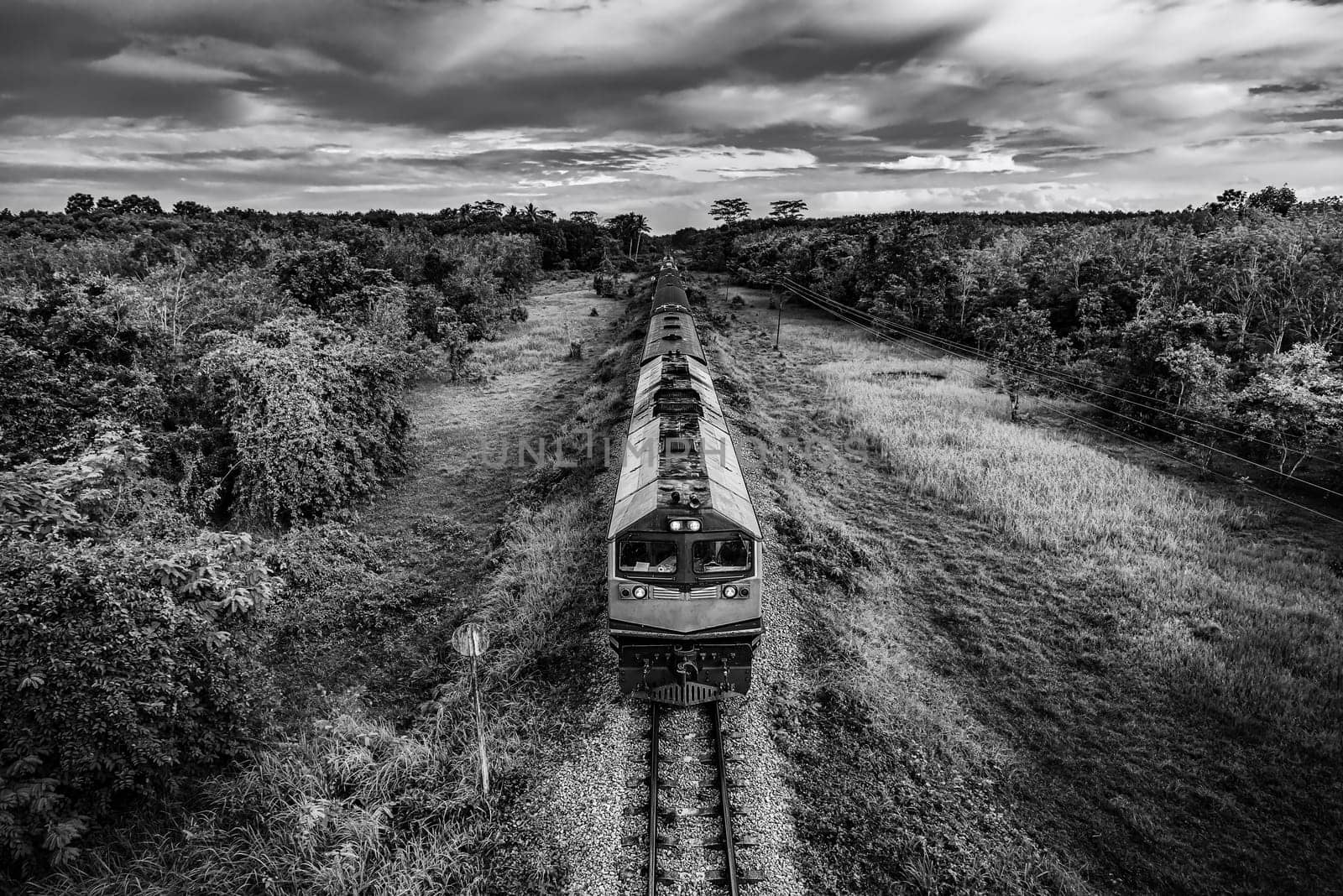 Train on railway transportation in forest and cloud storm, Transportation concept, Black and white and monochrome style