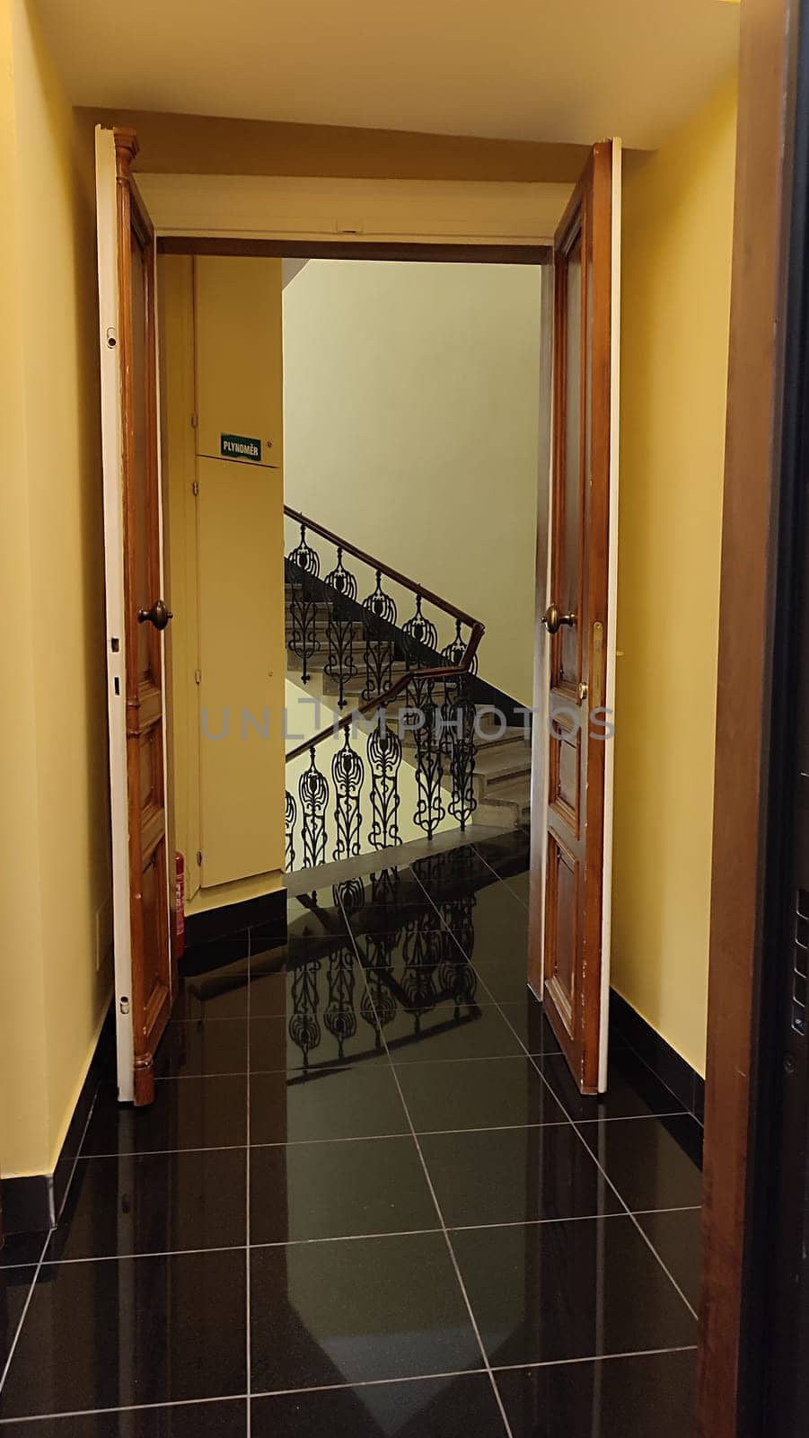 Open wooden door building architecture staps black ceramic floor room apartment hotel interior design . High quality photo