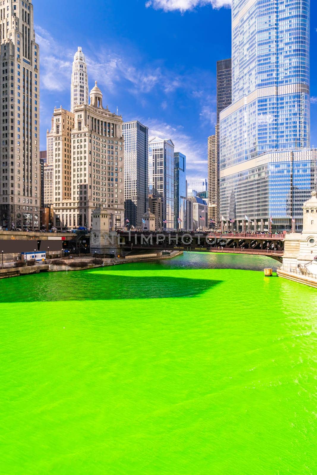 Chicago Skylines building along green dyeing river of Chicago River on St. Patrick day festival in Chicago Downtown IL USA