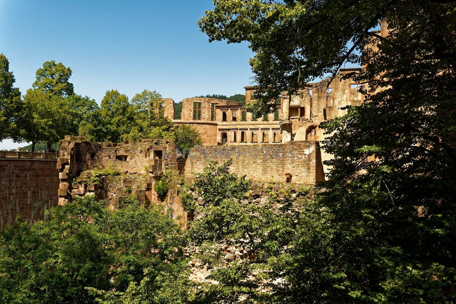Heidelberg Castle