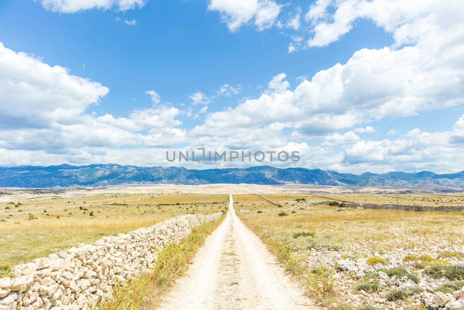 Dirt road leading trough dry rocky Mediterranean coastal lanscape of Pag island, Croatia in summertime.