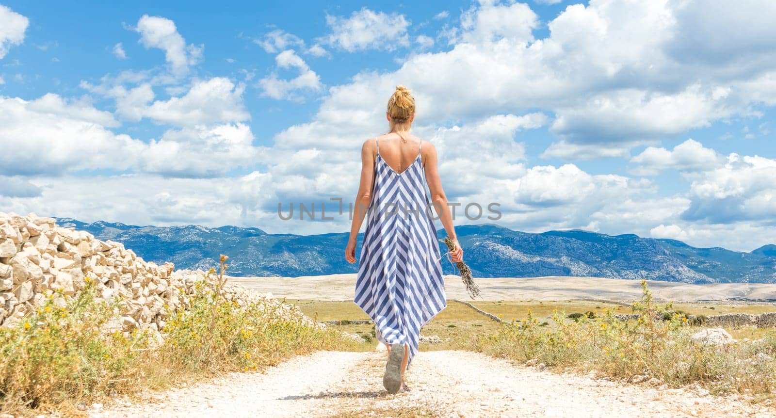Rear view of woman in summer dress holding bouquet of lavender flowers while walking outdoor through dry rocky Mediterranean coast lanscape on Pag island, Croatia in summertime.