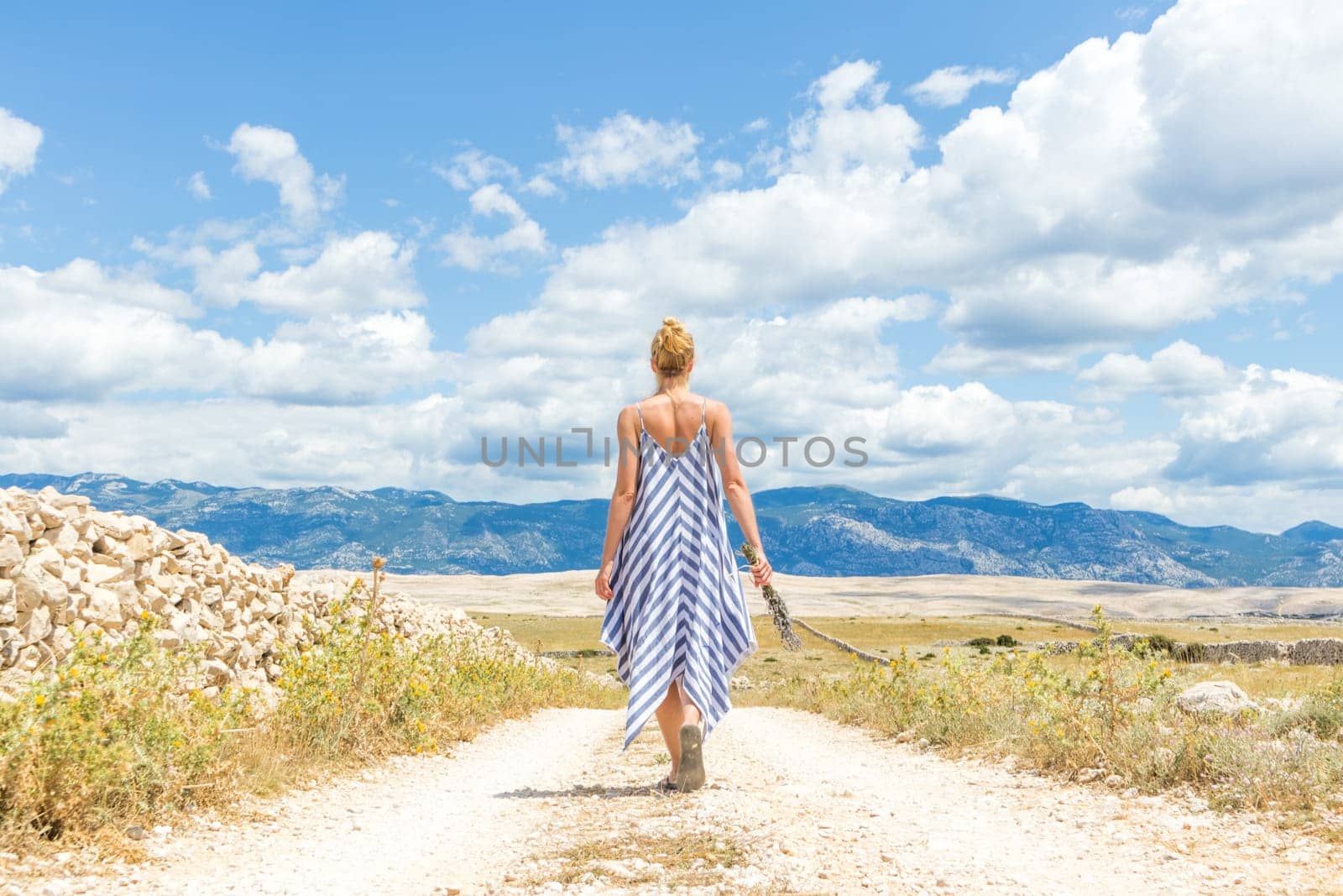 Rear view of woman in summer dress holding bouquet of lavender flowers while walking outdoor through dry rocky Mediterranean coast lanscape on Pag island, Croatia in summertime.