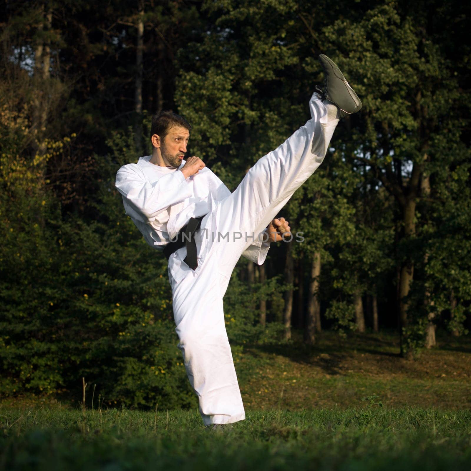 Man in white kimono with black belt is practicing martial arts and doing high kicks in nature.