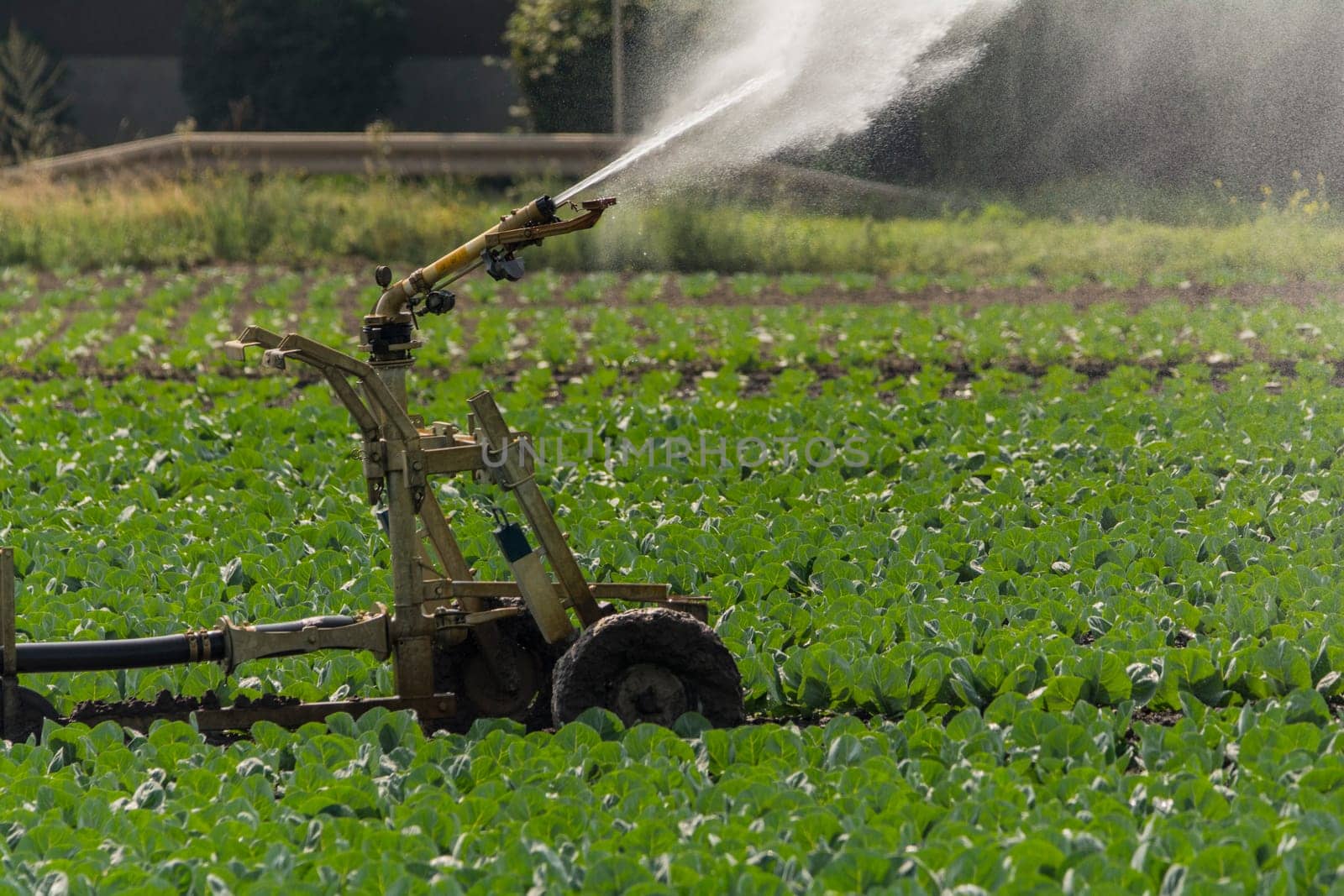 Irrigation on a field