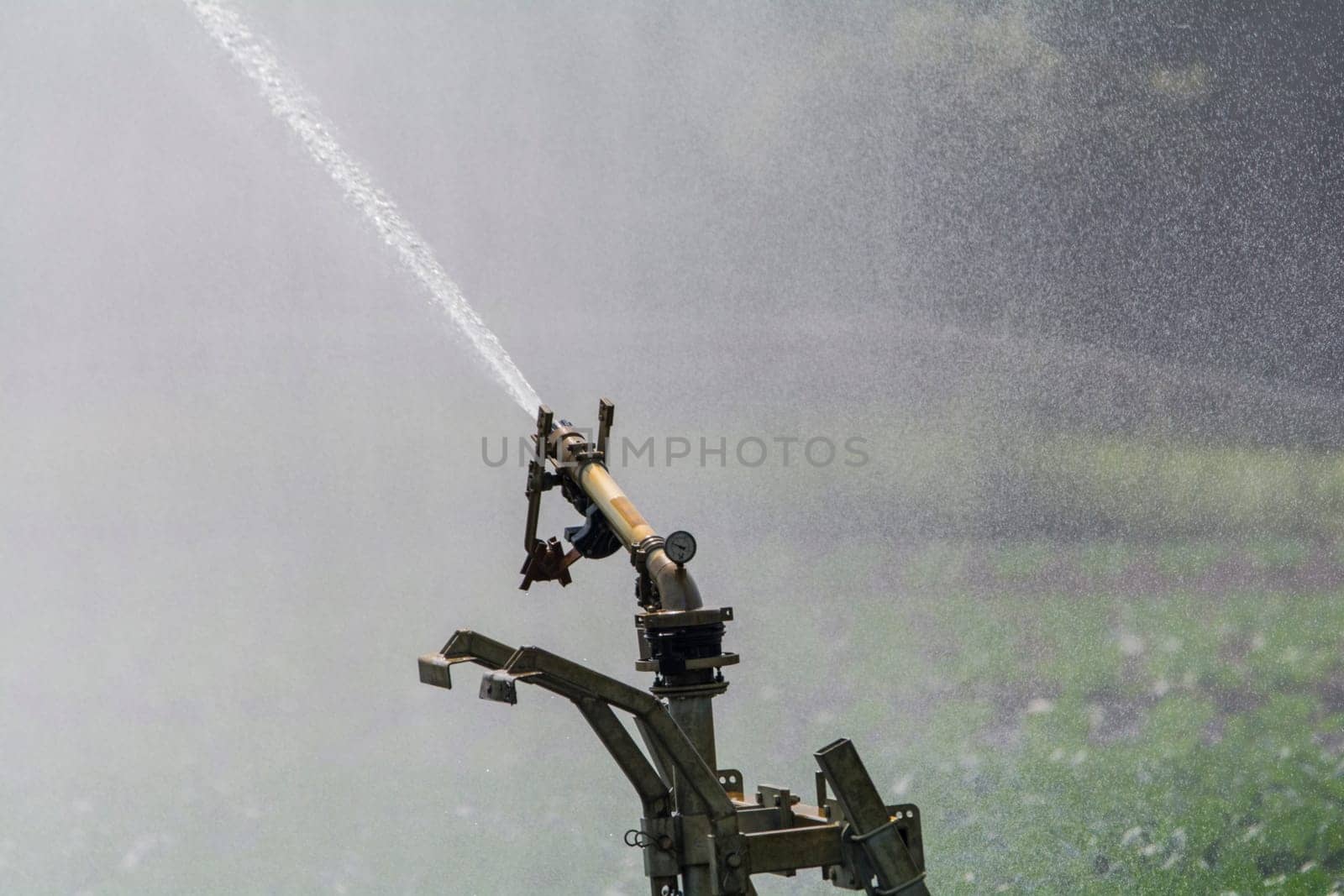 Irrigation field
