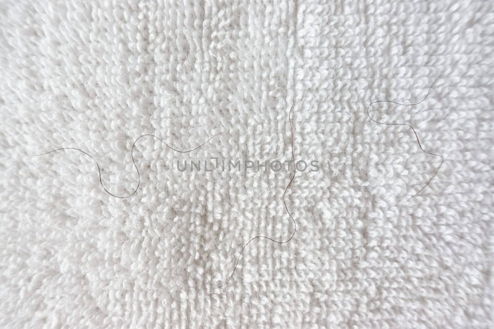 pubic hair fall on white towel