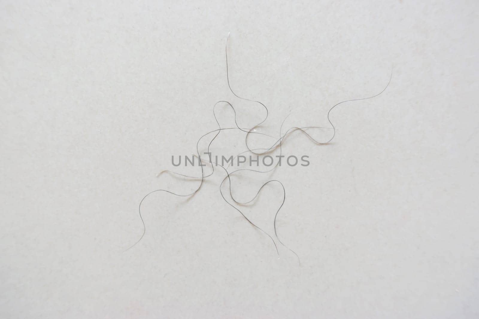 pubic hair fall on bedroom floor