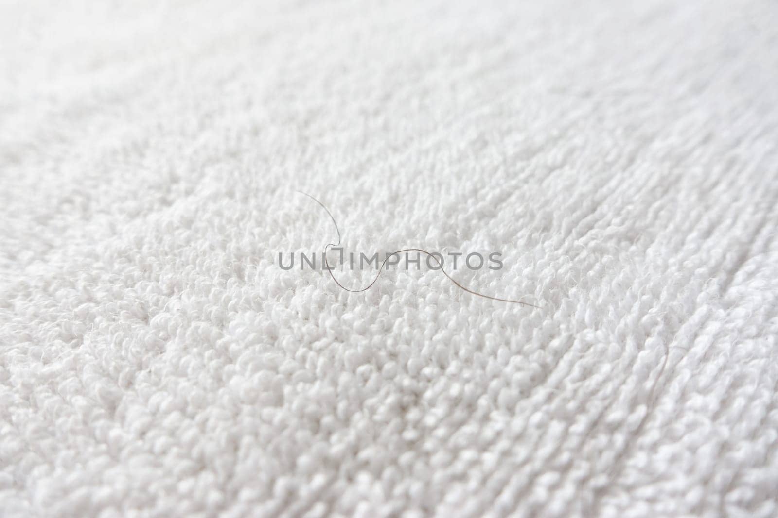 pubic hair fall on white towel