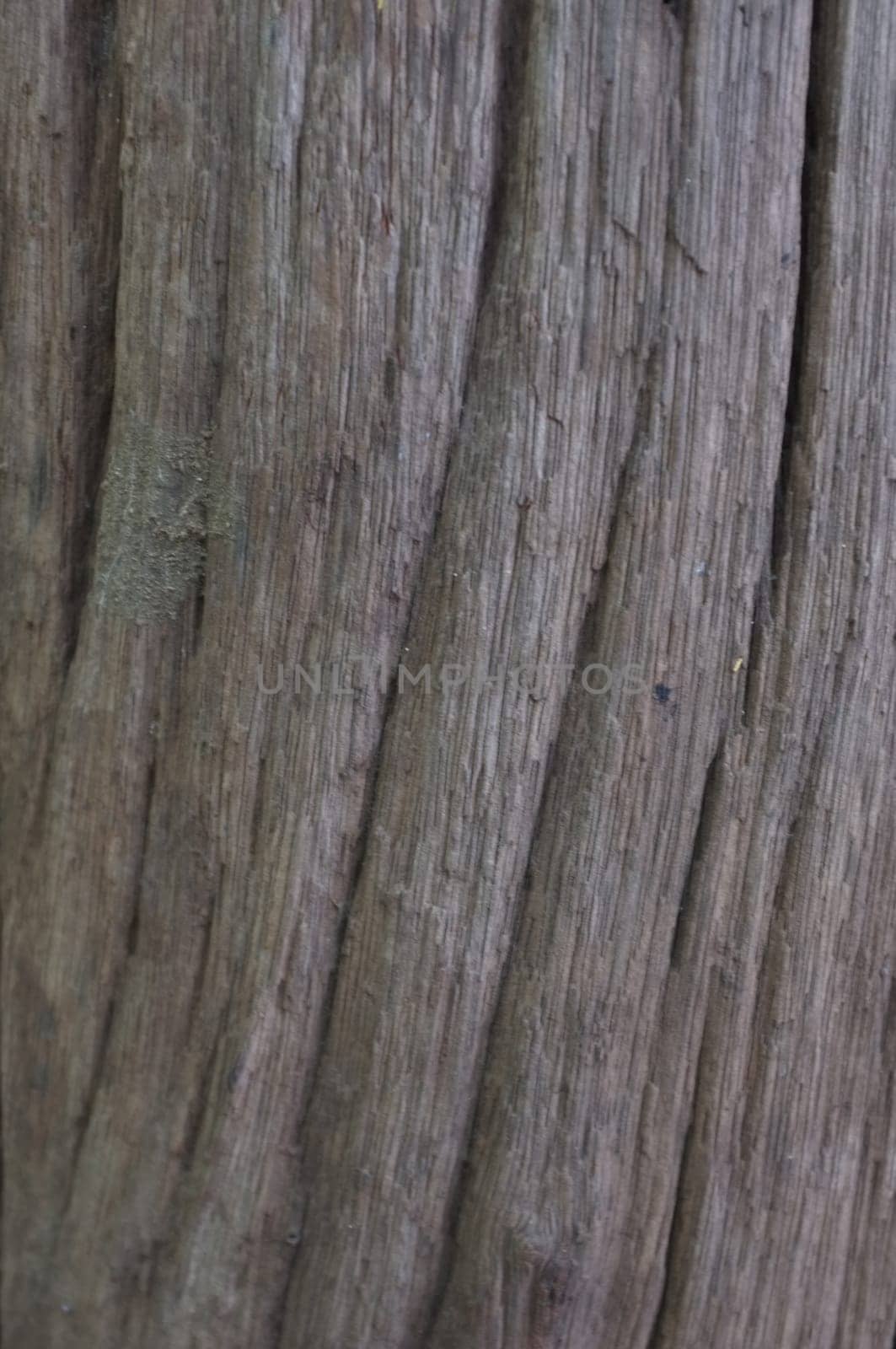 Surface eroded by time,Old wood texture background.