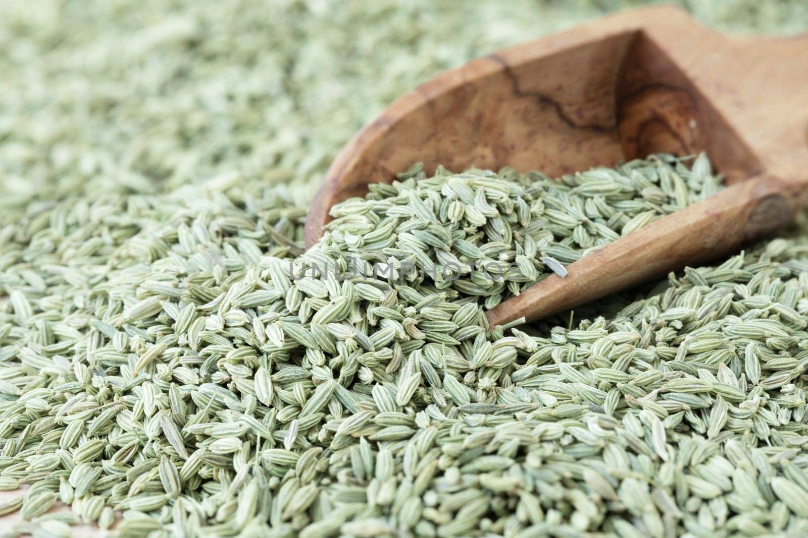 Wooden scoop in fennel seeds