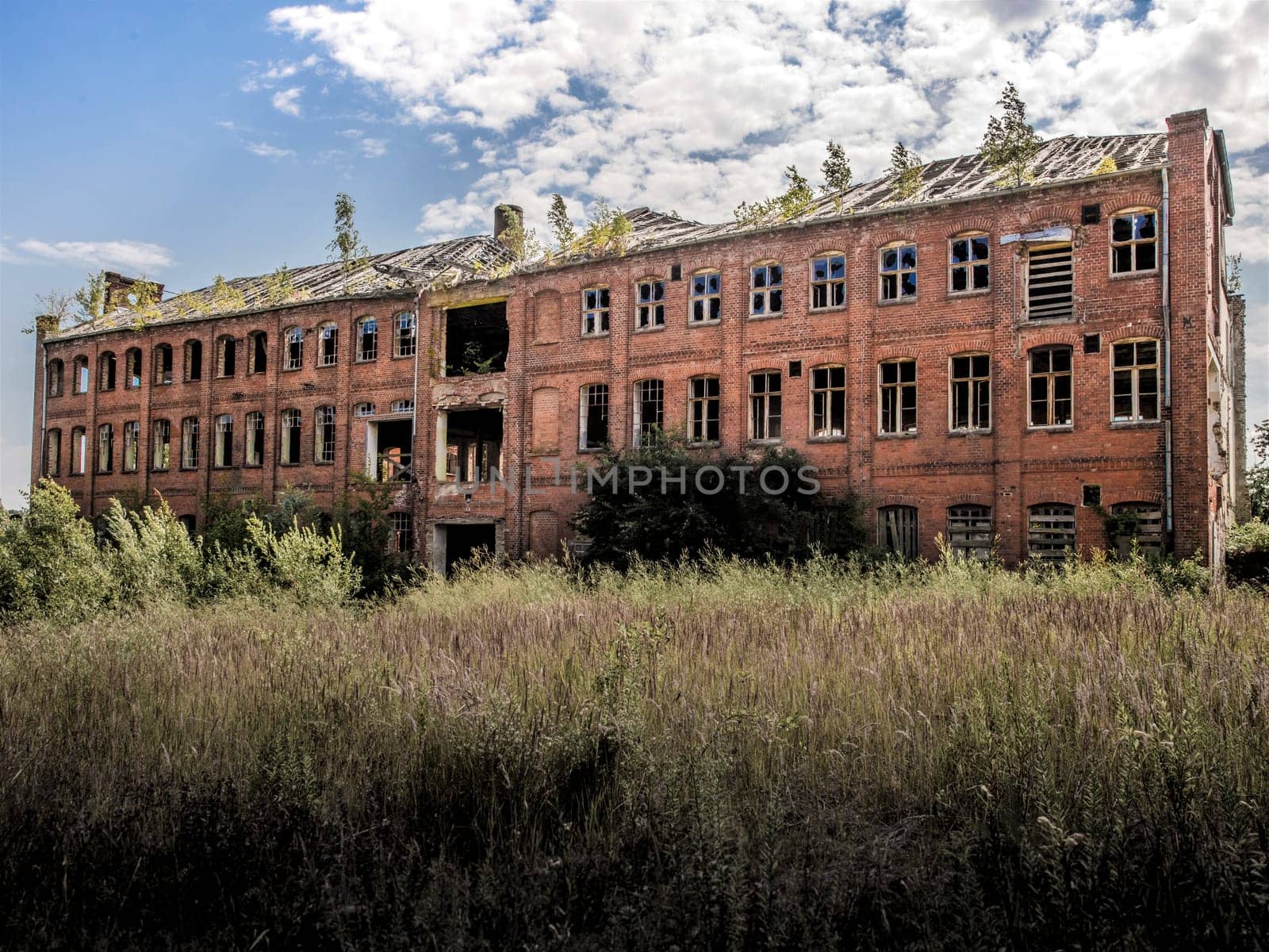 Industrial building covered with shrubs. Ruin with sunken roof against cloudy blue sky