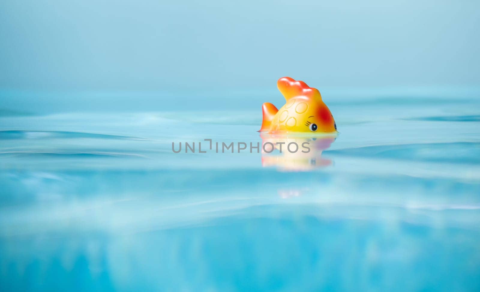 Cute toy Fish taking bath in swimming pool, shallow depth of field