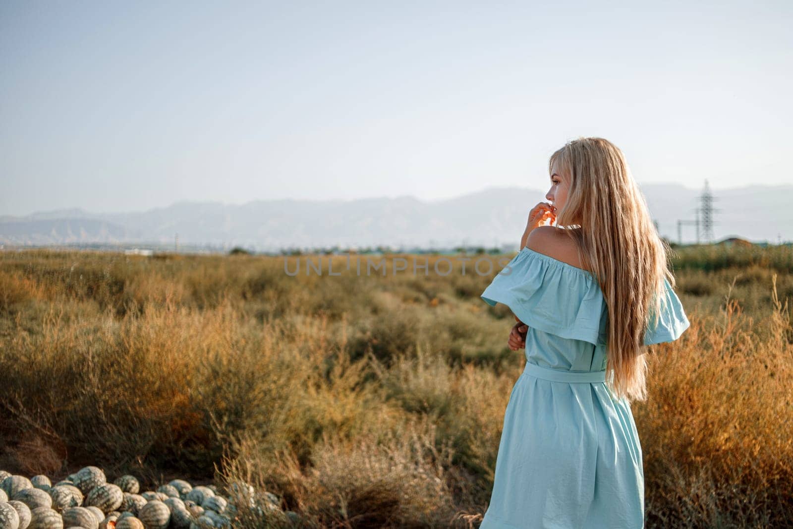 portrait of a young beautiful caucasian blonde girl in a light blue dress standing on a watermelon field with sun-dried grass during sunset