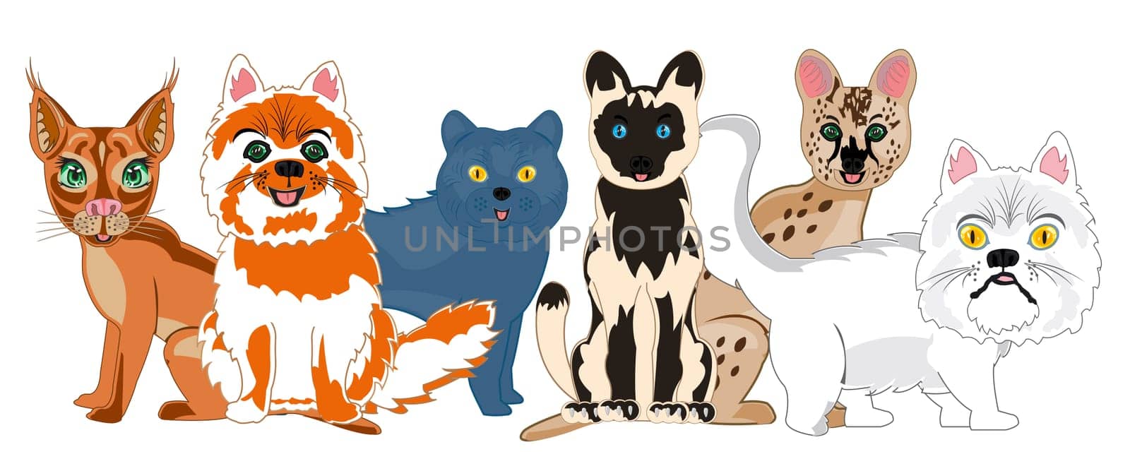 Much sorts pets pet cats on white background is insulated