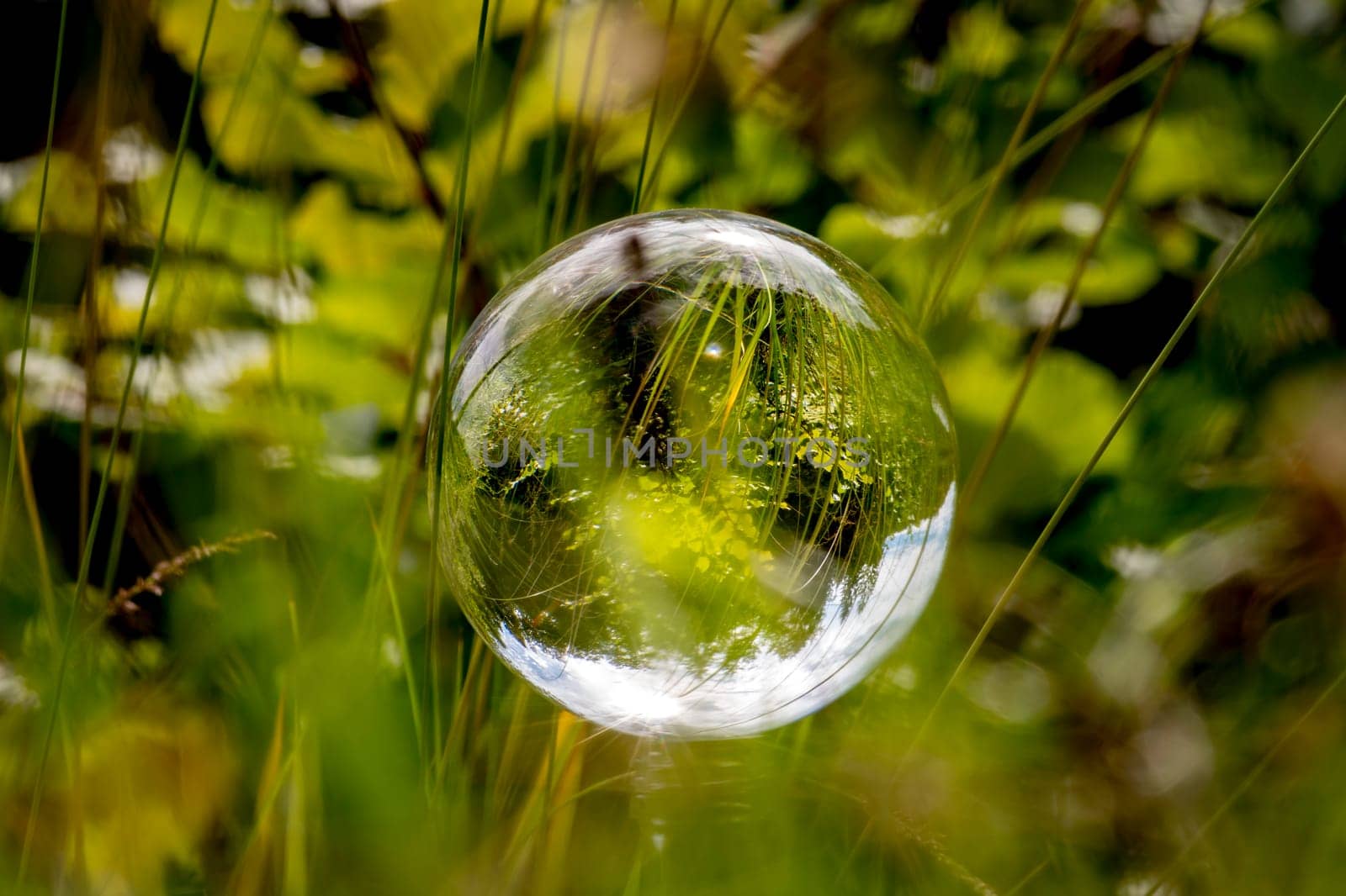 Glass ball floats between blades of grass with mirrored trees and cloudy blue sky
