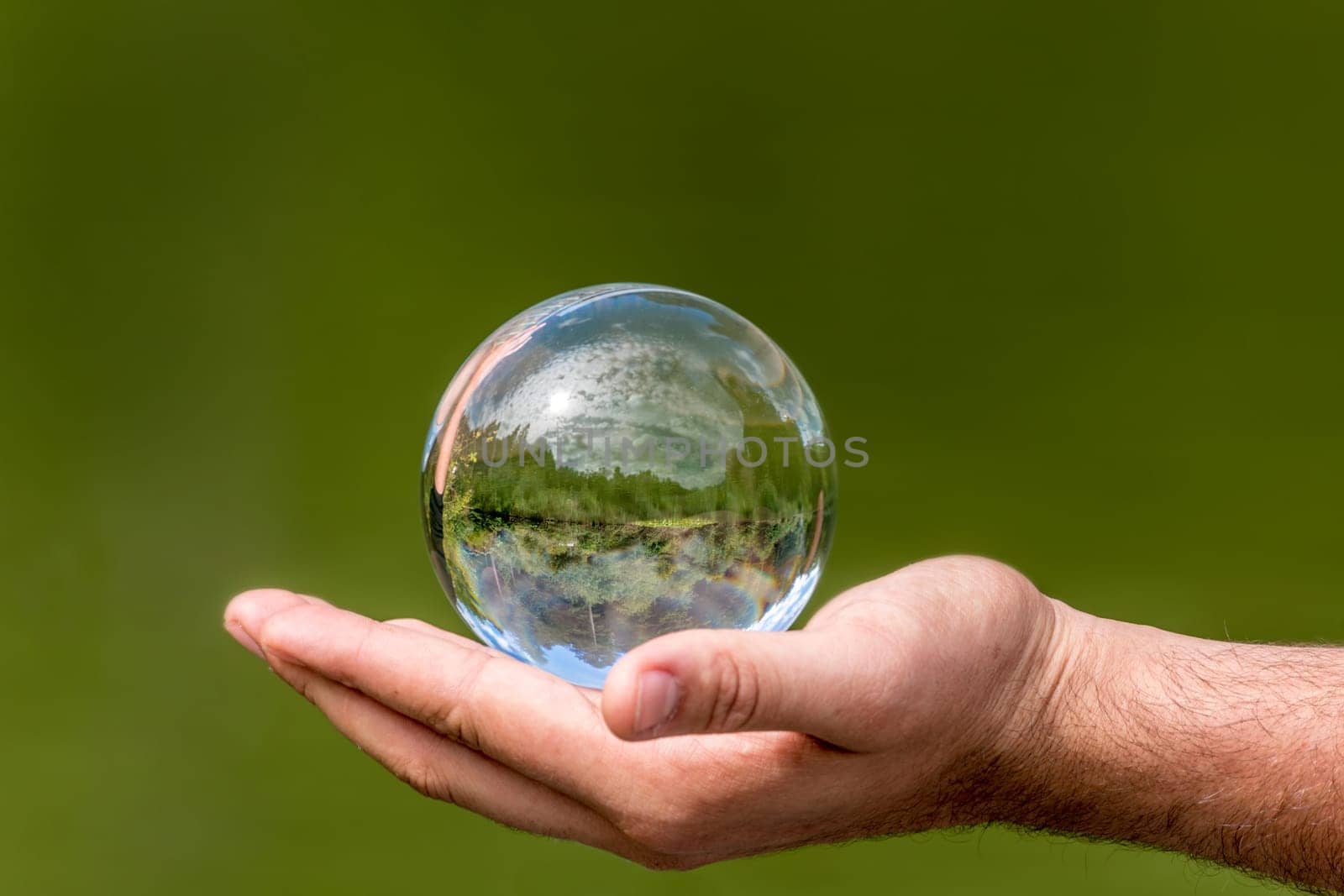 Glass ball with mirrored lake, trees and cloudy sky, lies in one hand against green background