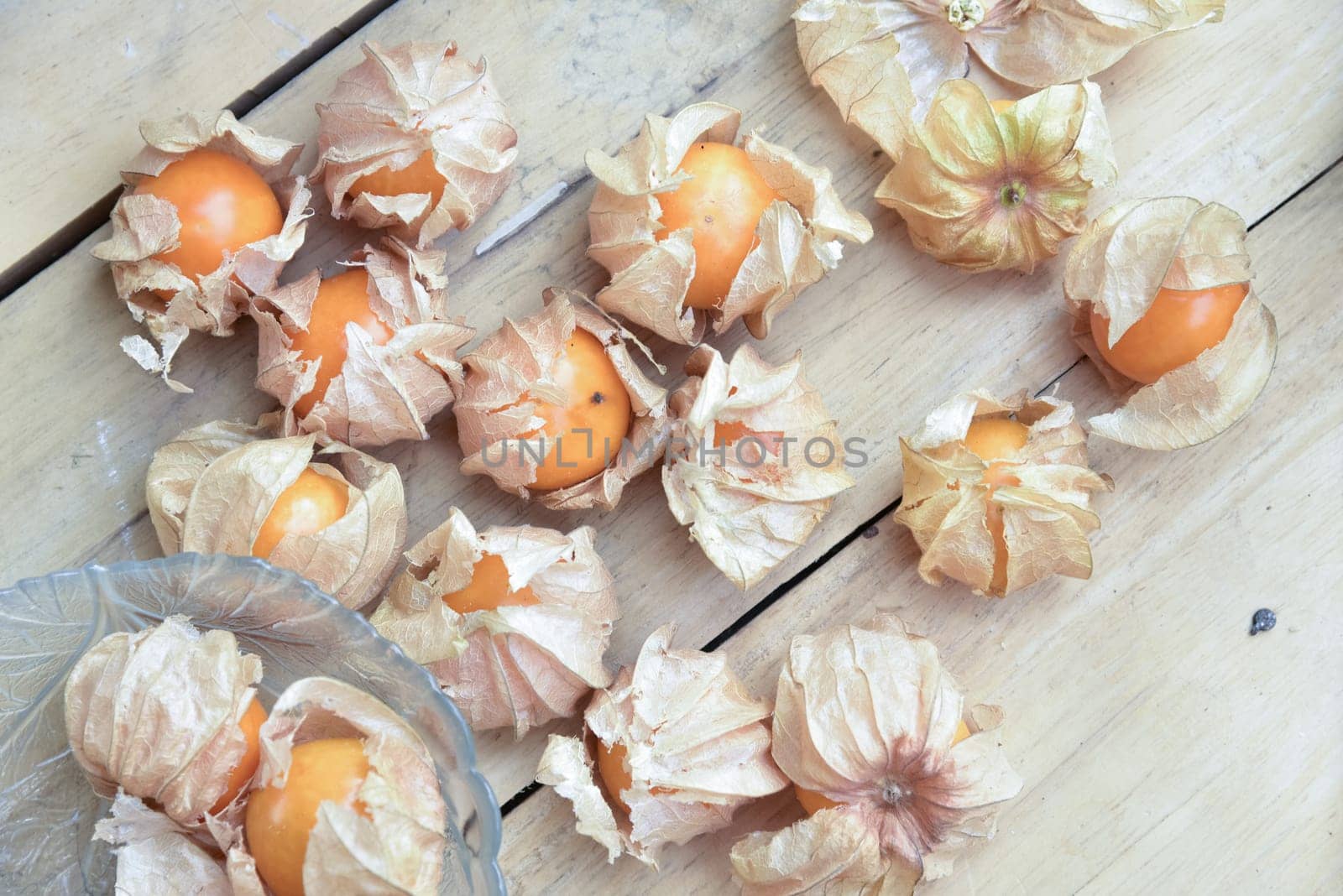 Top view and close up orange organic cape gooseberry fruit