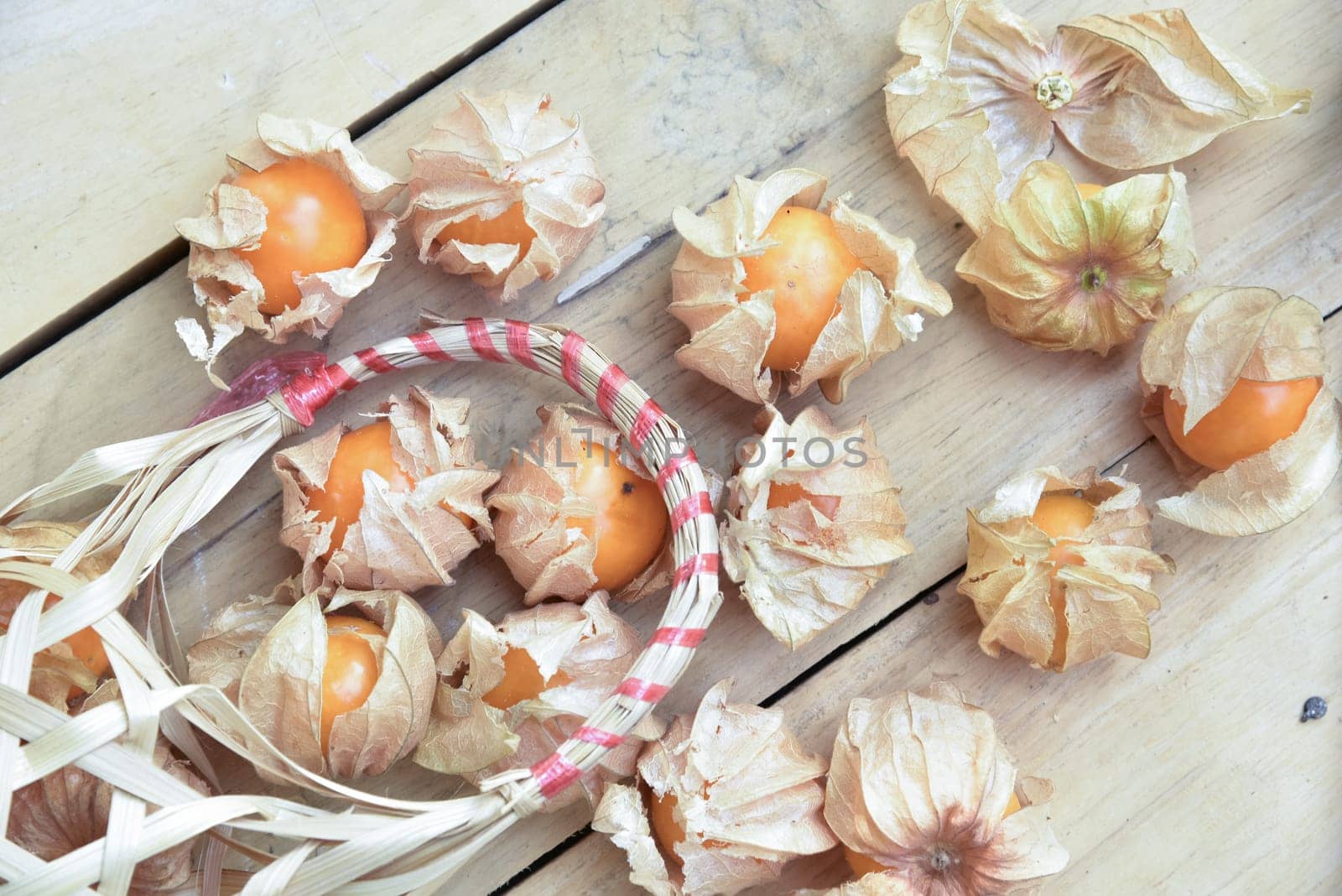 Top view and close up orange organic cape gooseberry fruit