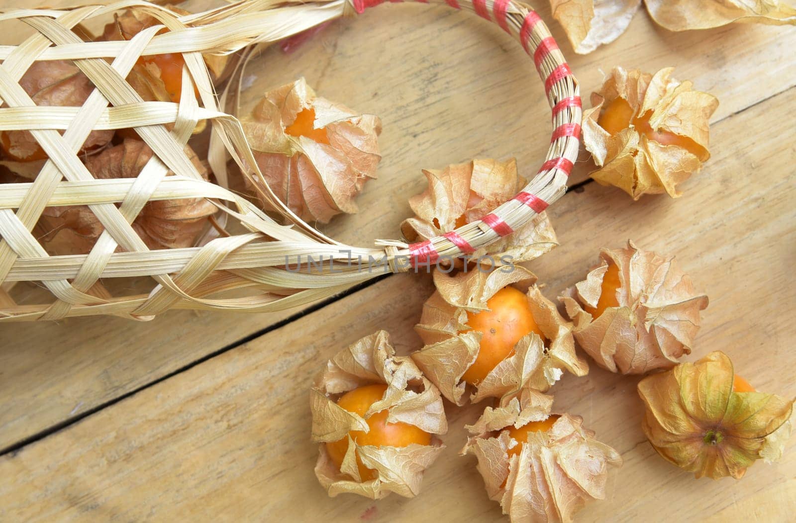 Top view and close up orange organic cape gooseberry fruit