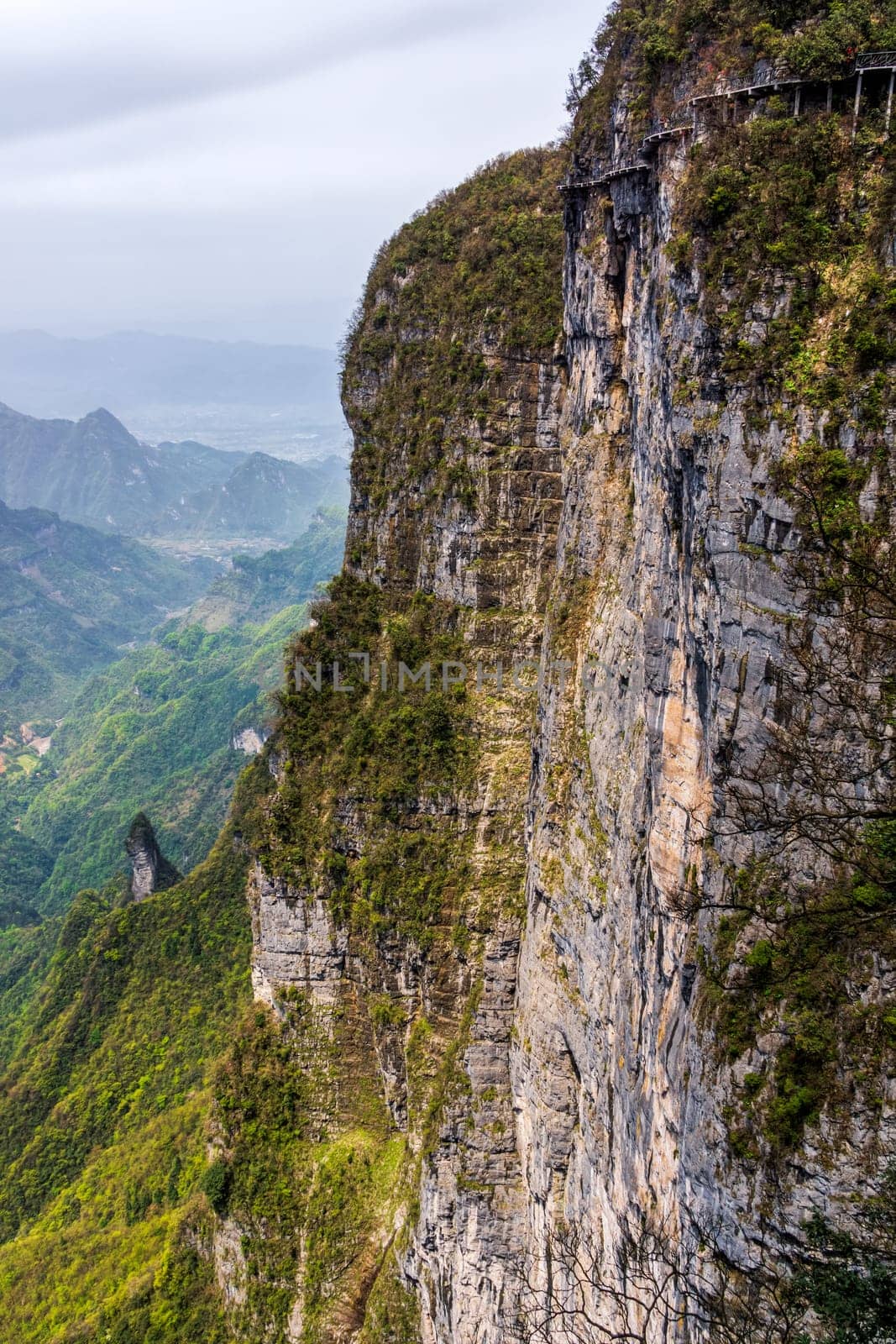 Tourists walking on the Sky Walk at Tianmen Mountain, very high cliff with narrow balcony winding around mountain, Zhangjiajie, Hunan, China
