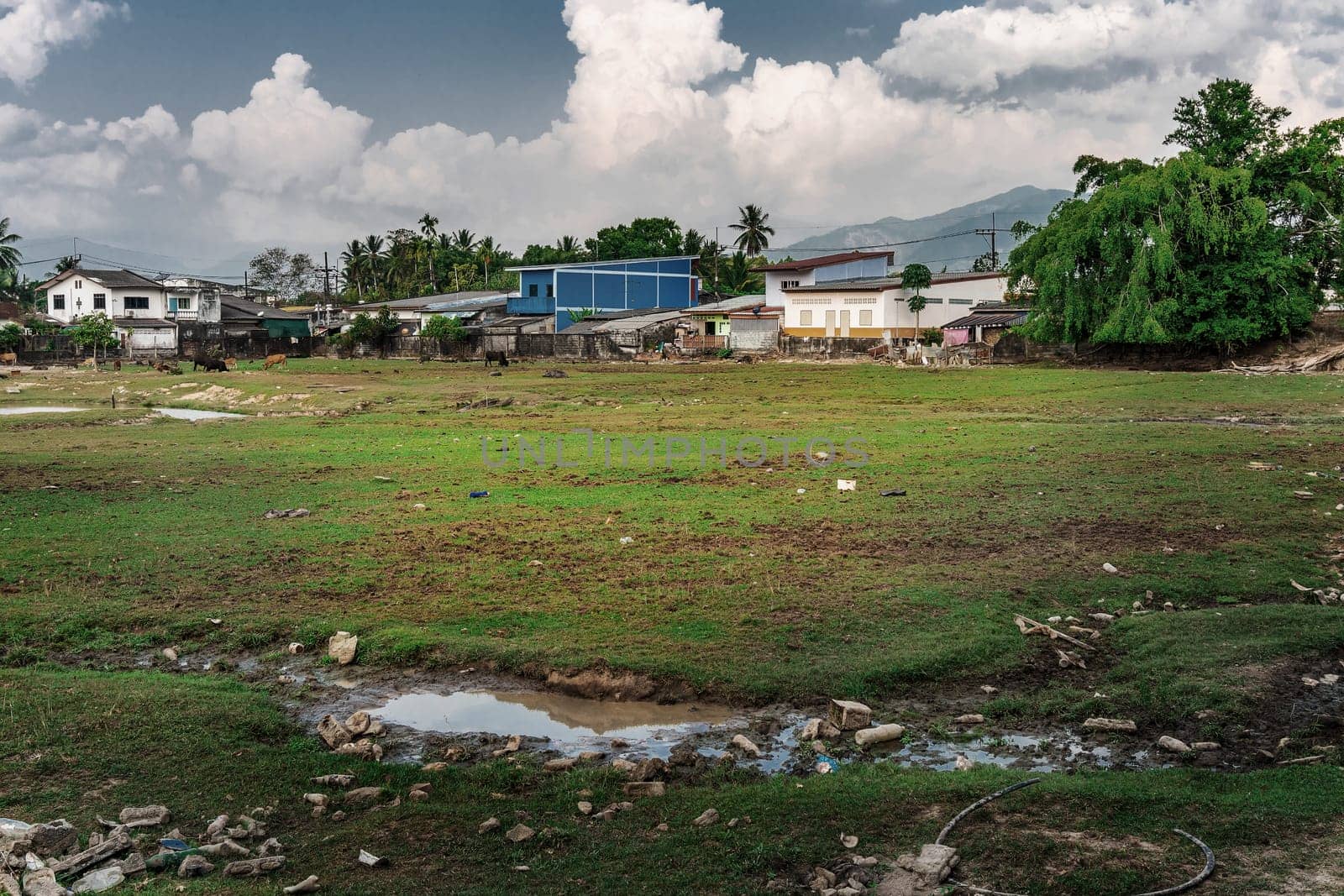 A city full of degradation and pollution that is caused by people, The cruelty of war and dictatorship