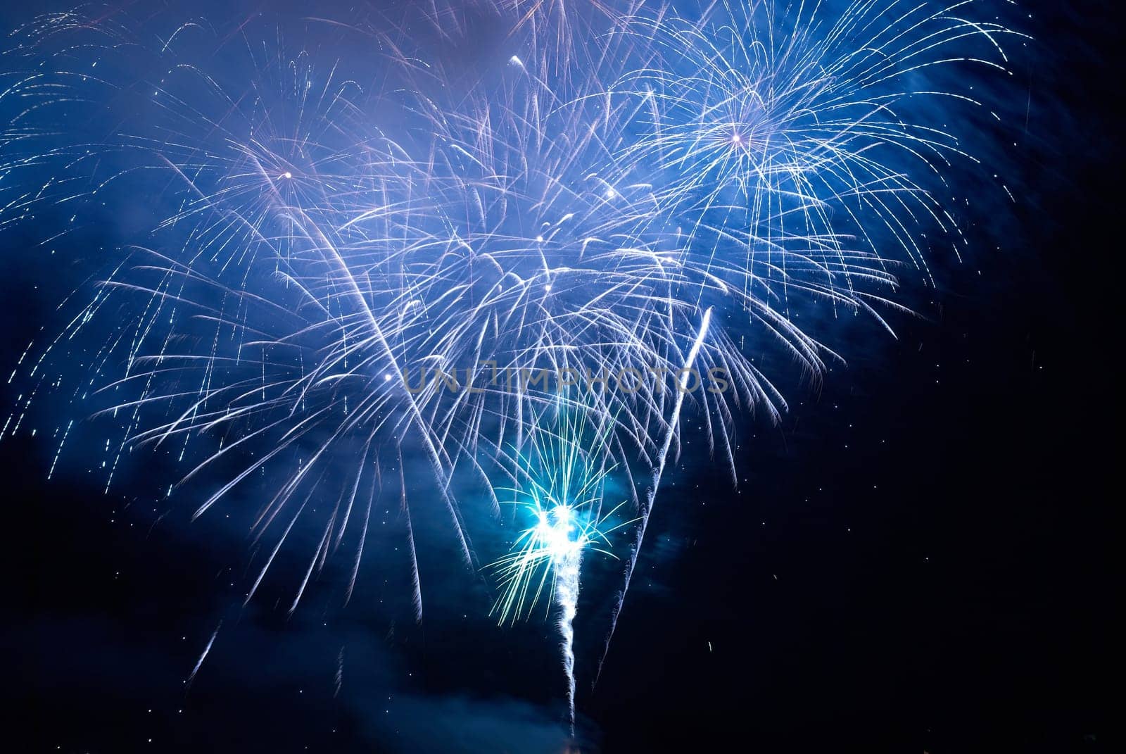 Colorful holiday fireworks on the black sky background.
