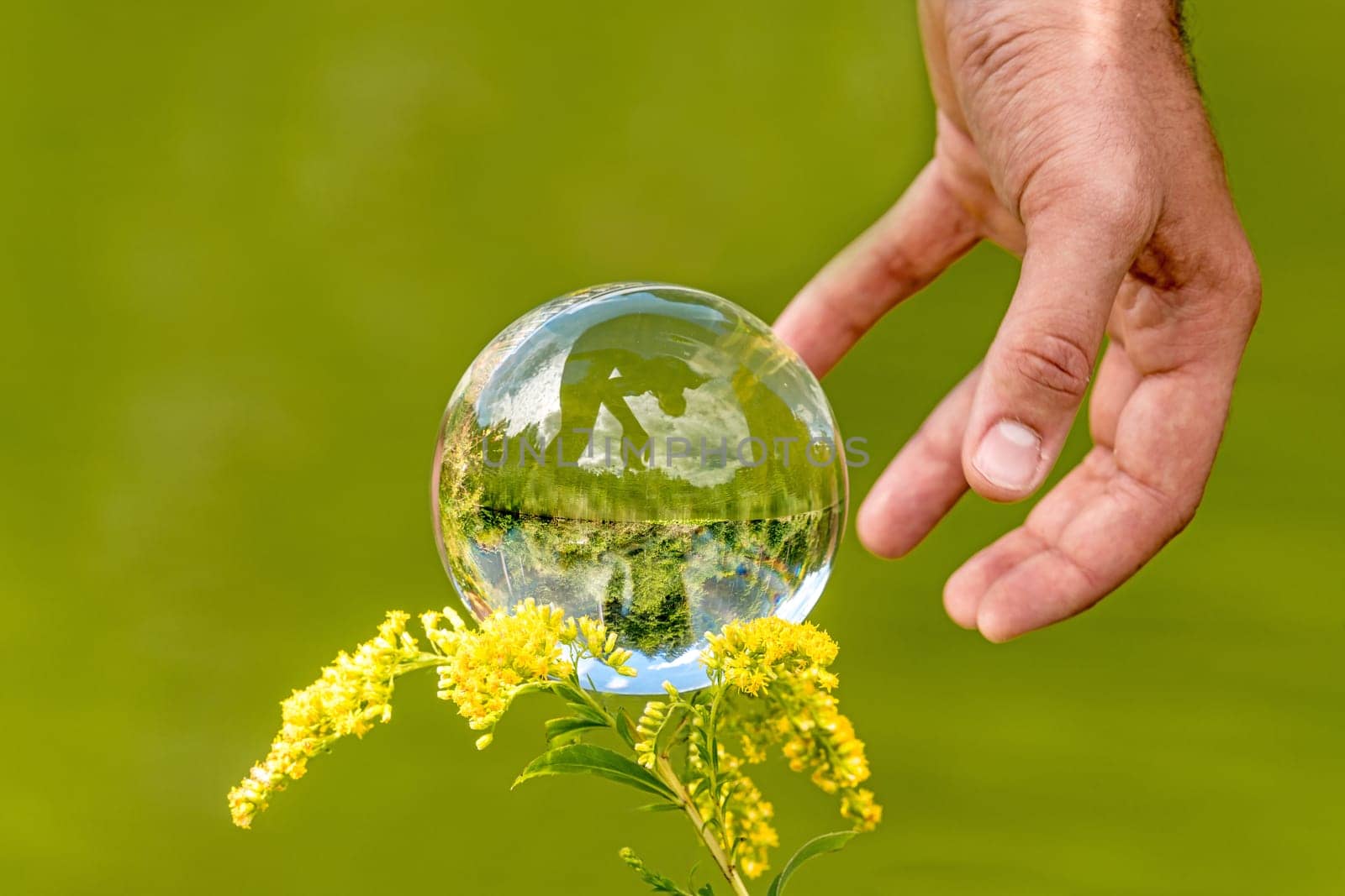 A man's hand reaches for a glass globe with a mirrored lake, trees and cloudy sky against a green background