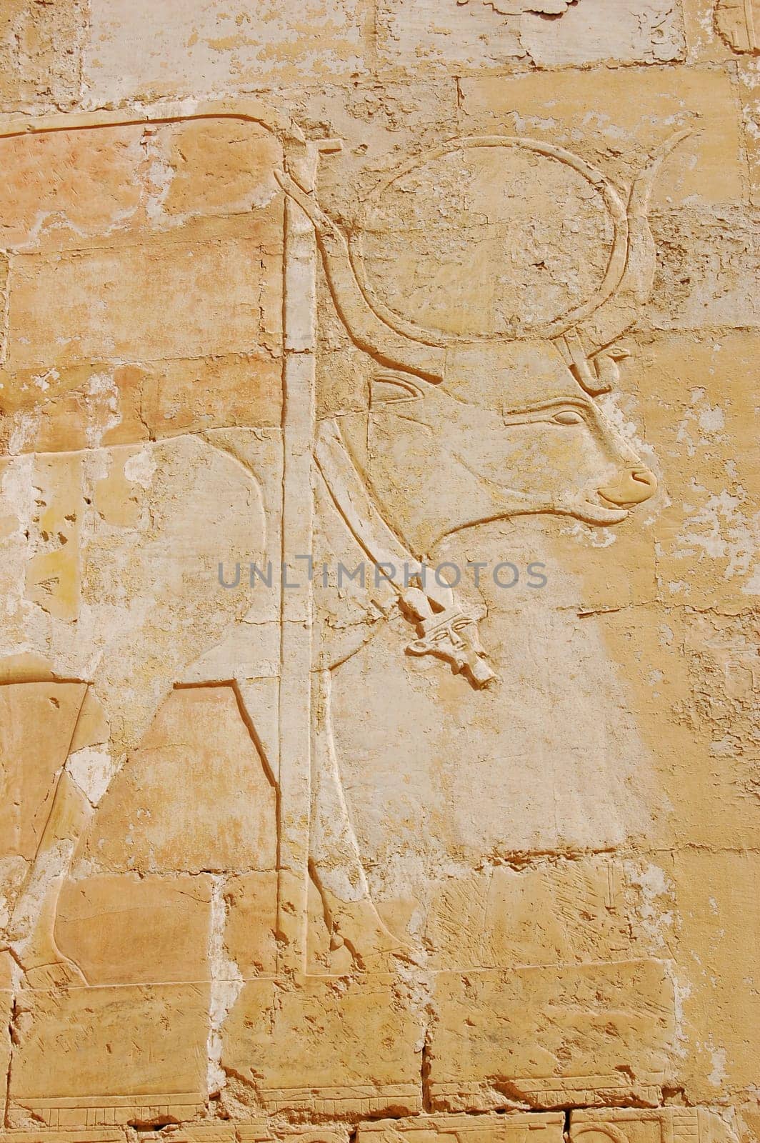 Sculpture of Hathor as a cow in Hatshepsut temple, Egypt