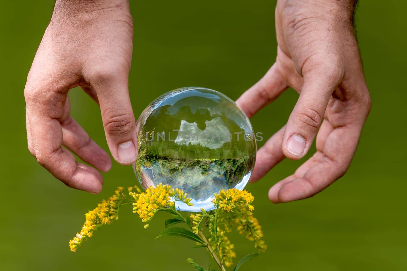 A man's hand reaches for a glass globe with a mirrored lake, trees and cloudy sky against a green background