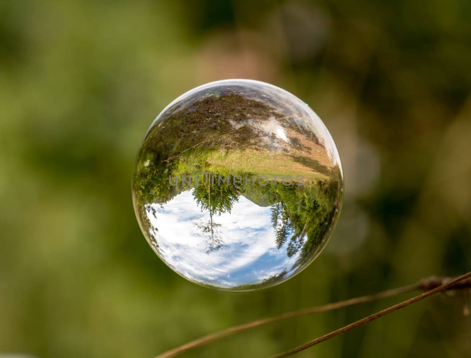 Glass ball floats between blades of grass with mirrored trees and cloudy blue sky