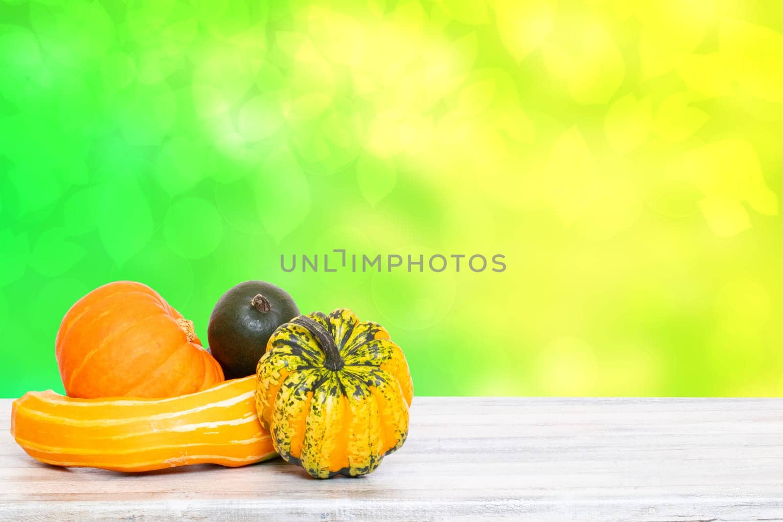 Pile of pumpkins. Close-up of a stack decorative colorful pumpkins on a bright wooden table against abstract blurred natural green yellow background. Space for your product display montage.