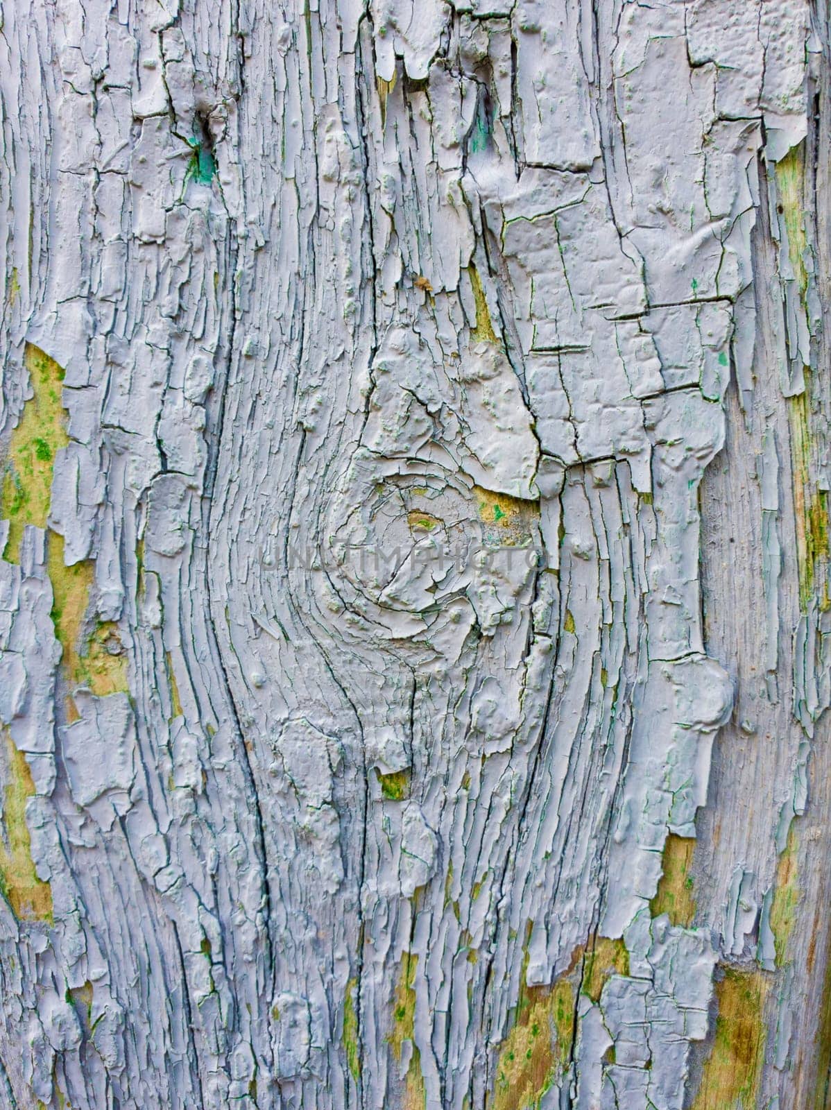 Old paint peeling of an old wood texture background. Wooden wall abstract rustic grunge.