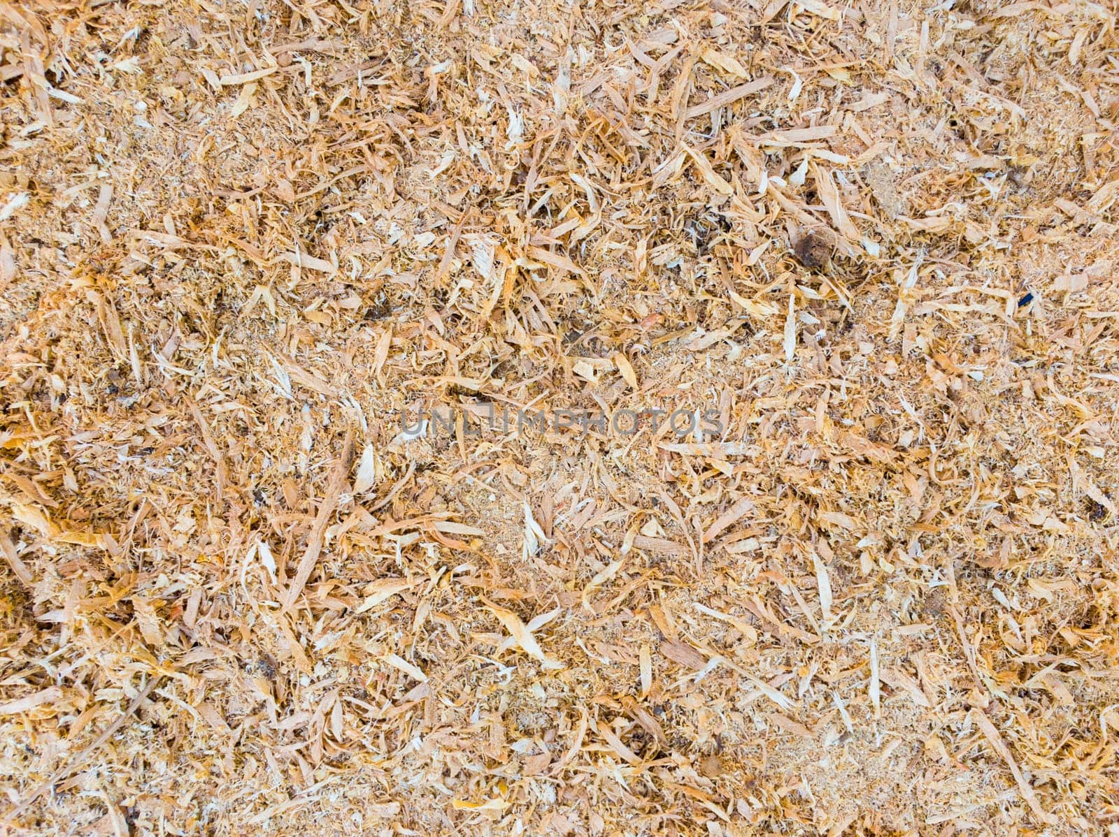 .Abstract sawdust or wood dust texture background. Close up top view of dry wood shavings, industry concept.