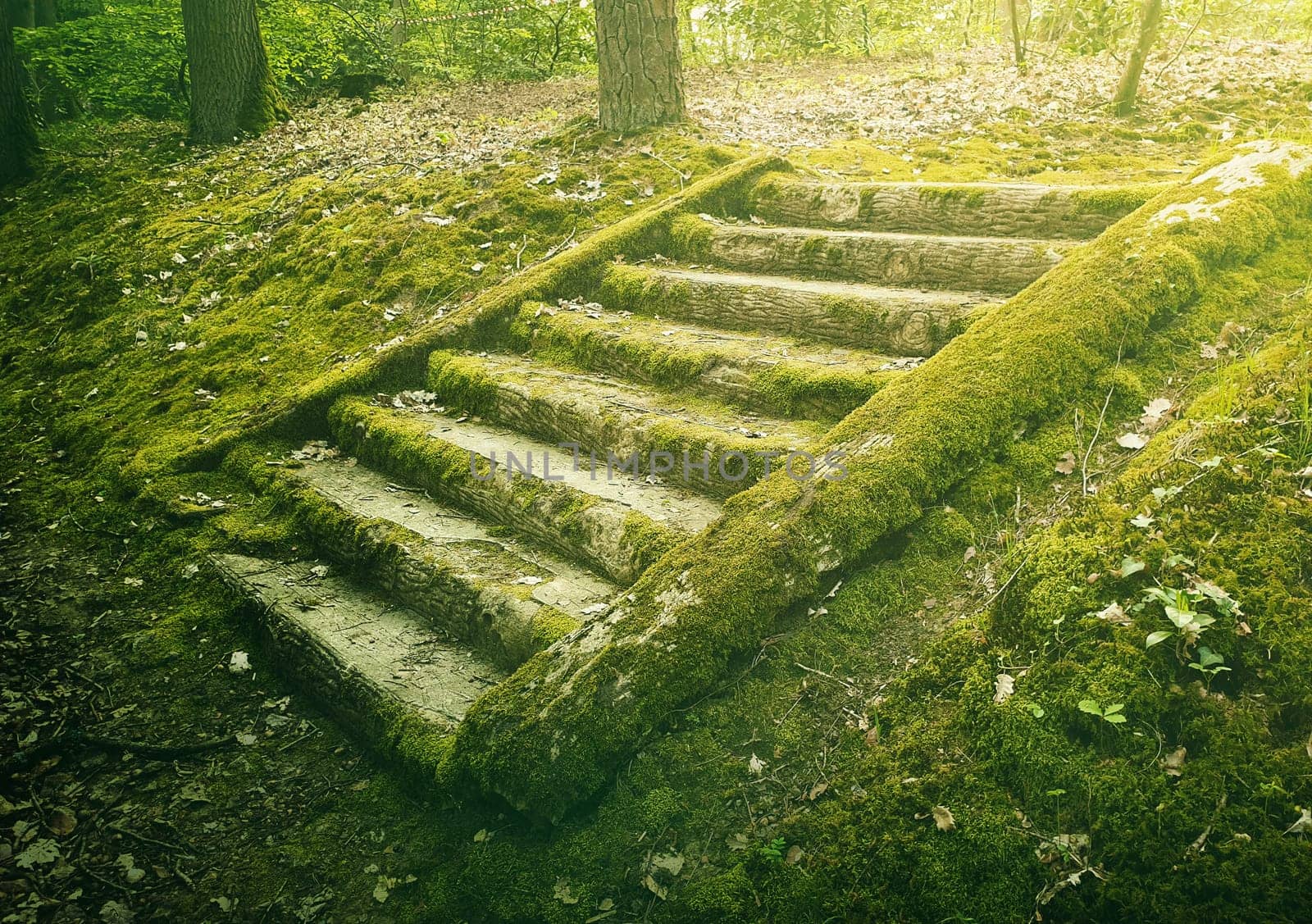 Ancient stone stair steps in the woods covered by green moss. Mysterious fairytale scene with an old stairway.